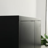 Two-Door Metal Short Cabinet Shelf Storage for Home Office Gym
